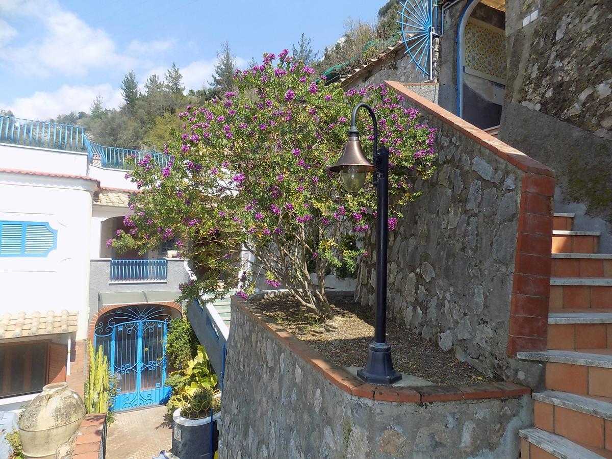 Maison De Fleurs Maiori Exterior foto